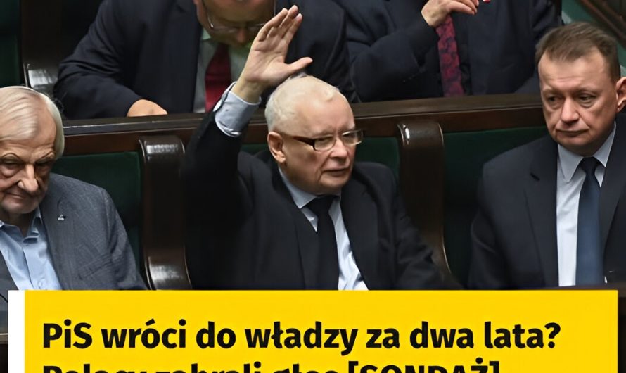 PiS wróci do władzy za dwa lata? Polacy zabrali głos [SONDAŻ]